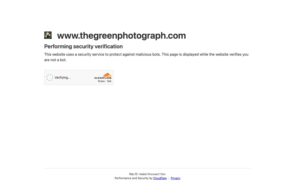 The Green Photograph studio preview