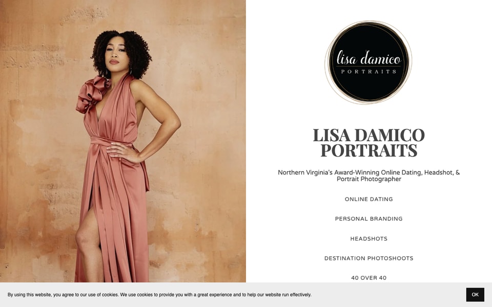Lisa Damico Portraits studio preview