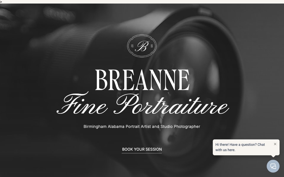 Breanne Fine Portraiture | Painted Portraits, Headshots, Boudoir & Family Photography in Birmingham studio preview