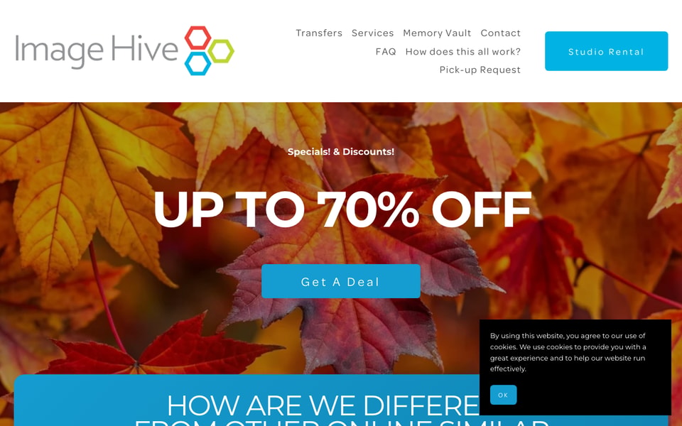 Image Hive studio preview
