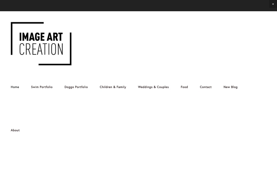 Image Art Creation LLC studio preview