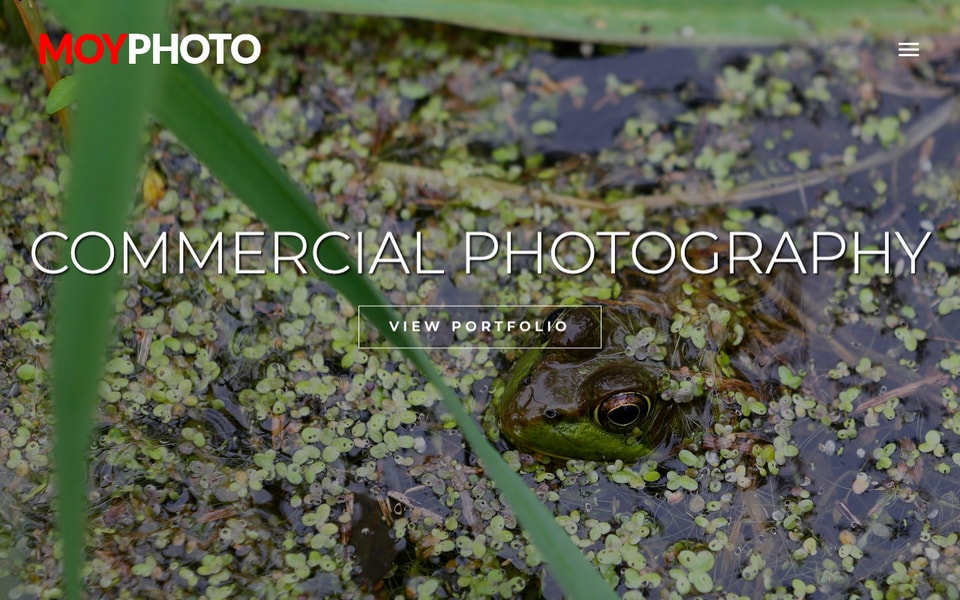 Jim Moy Photography/Moy Photo studio preview