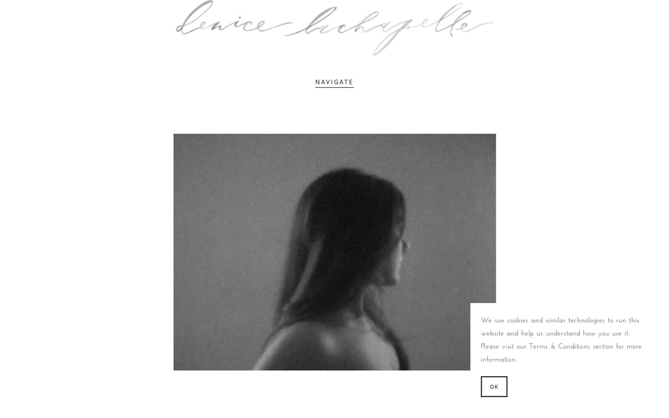 Denice Lachapelle Photography studio preview