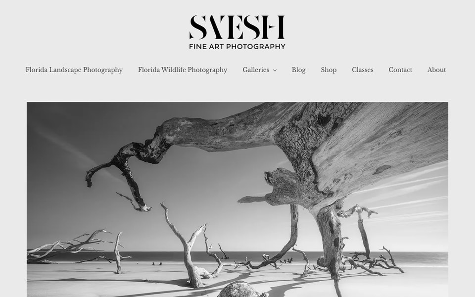 Satesh Fine Art Photography studio preview