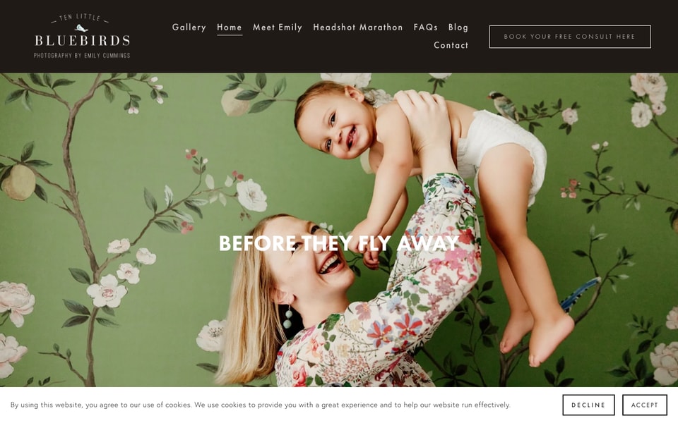 Ten Little Bluebirds studio preview