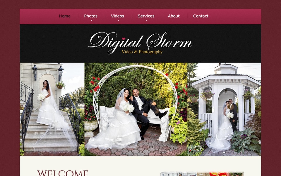 Digital Storm Video & Photo studio preview