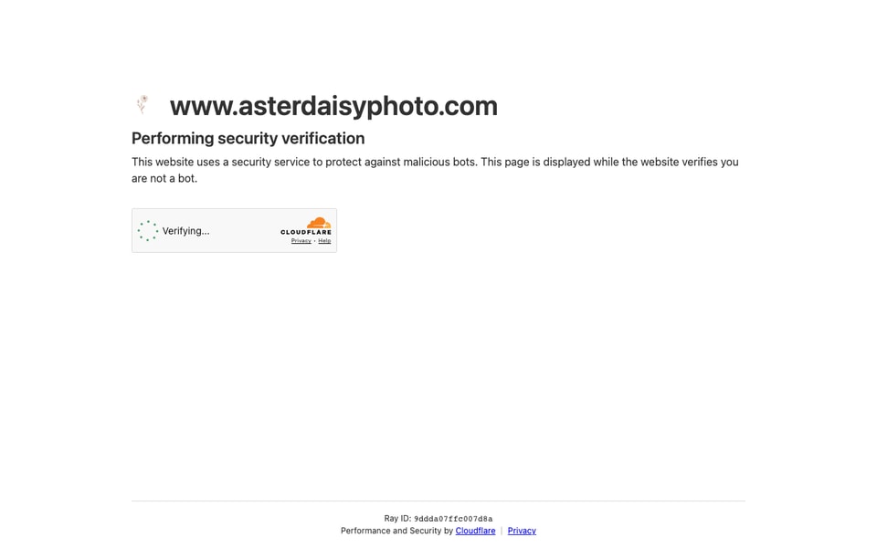 Aster and Daisy Photography studio preview
