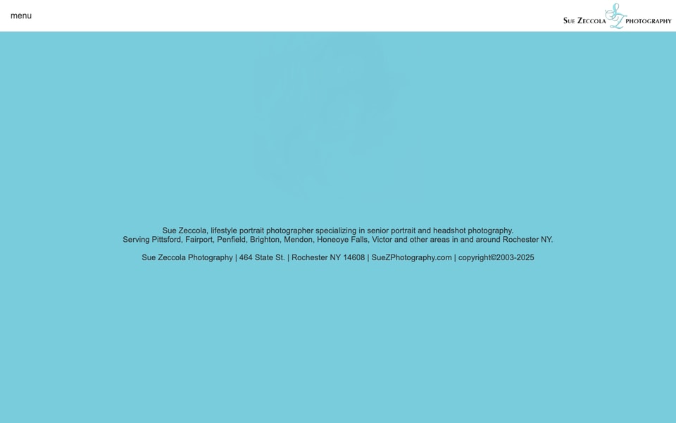 Sue Zeccola Photography studio preview